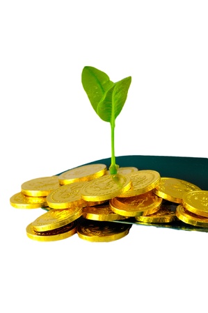 Plant-Gold coin-Shovelの写真素材