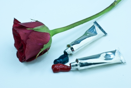 Rose, green and red color tube on white paperの写真素材