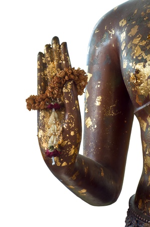 Buddha hand with dryed flower on white backgroundの写真素材