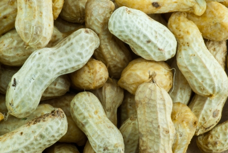 Peanut textureの写真素材