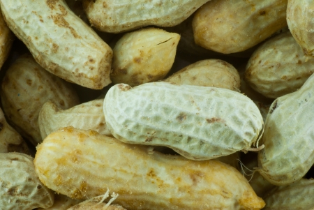 Peanut texture - close upの写真素材