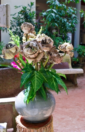 Drying lotus in a marble vaseの写真素材