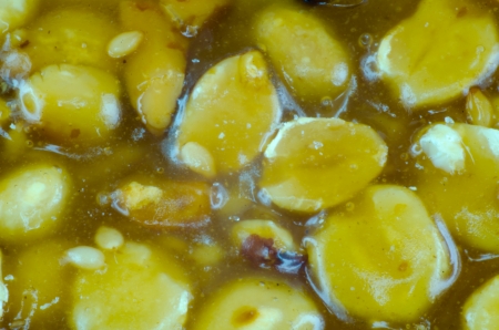 Thai dessert testureの写真素材