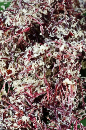 Thai food, deep fried red Ixora flowerの写真素材