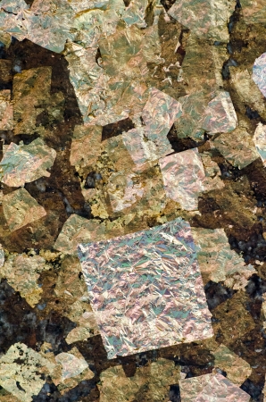 Gold leaf on the wall backgroundの写真素材