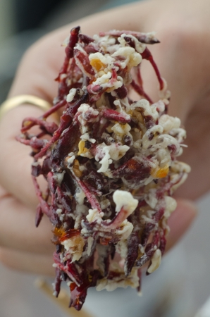 Thai food, deep fried red Ixora flower, in lady handの写真素材