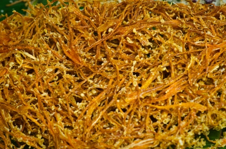 Thai food, deep fried  coconutの写真素材