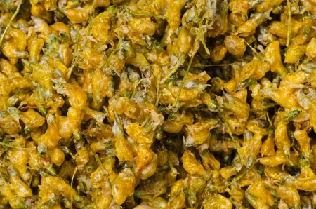 Fried Sesbania flower textureの写真素材