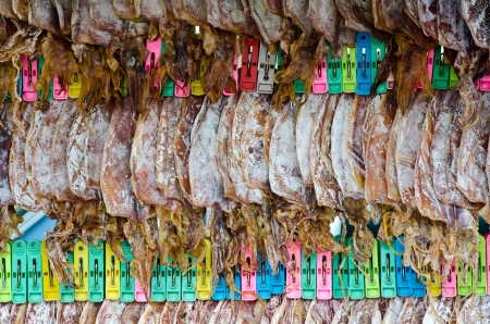 Dried squid in thailandの写真素材