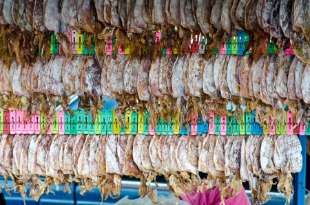 Dried squid in thailandの写真素材