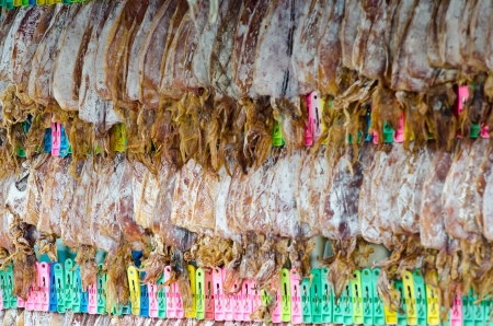 Dried squid in thailandの写真素材