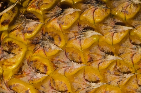 Texture of pineappleの写真素材
