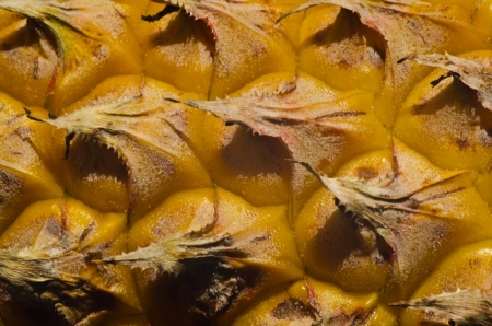 Texture of pineappleの写真素材