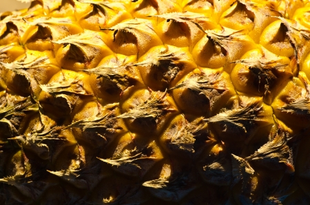 Texture of pineappleの写真素材