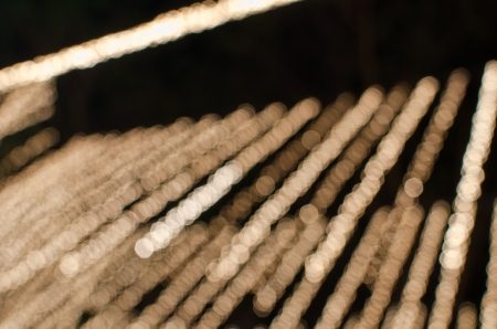 The light bokehの写真素材