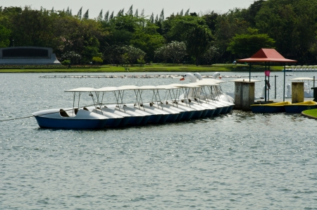 the line of swan pedal boat in the parkの写真素材