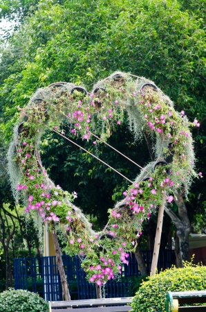 Heart of flowerの写真素材