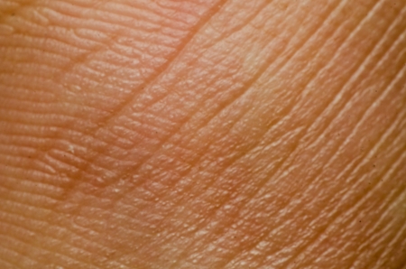 The human skin textureの写真素材