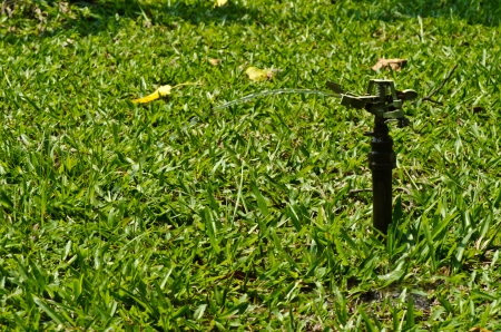 Water sprinkler in gardenの写真素材