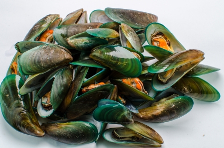 Asian green mussel textureの写真素材