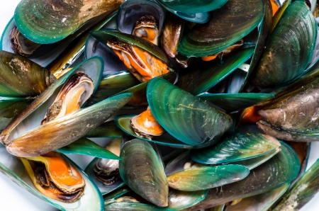 Asian green mussel textureの写真素材