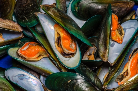 Asian green mussel textureの写真素材