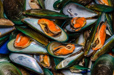 Asian green mussel textureの写真素材