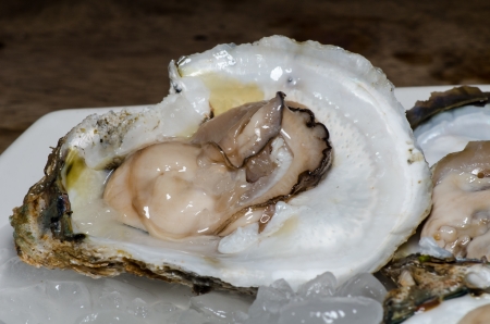 Fresh oyster with ice closeupの写真素材