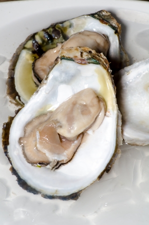 Fresh oyster with ice closeupの写真素材