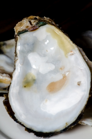 Oyster shell closeupの写真素材