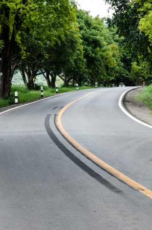 The green roadの写真素材