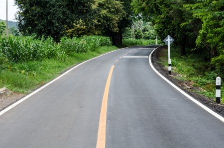 The green roadの写真素材