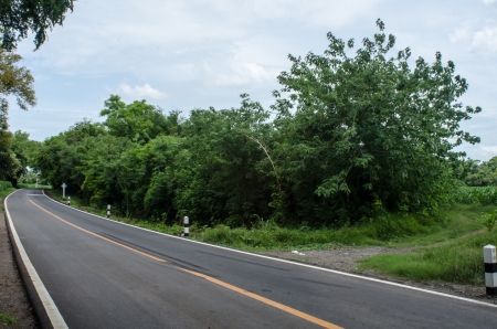 The green roadの写真素材