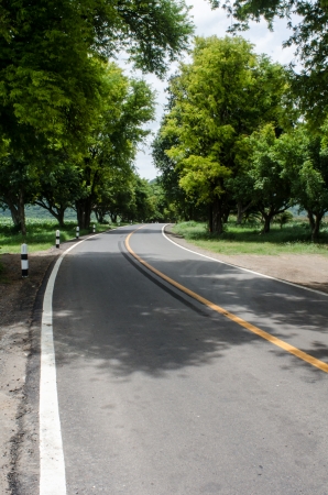 The green roadの写真素材