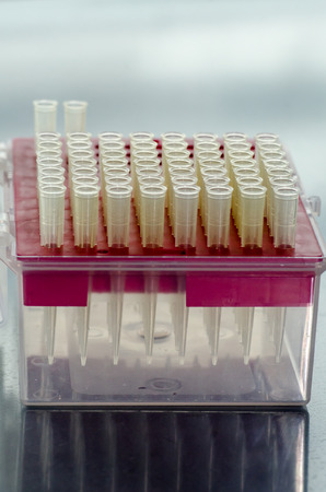 Transfer pipette tips in rackの写真素材