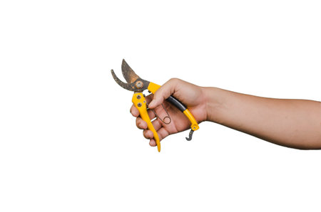 Rusty garden scissors in man's hand