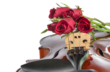 Violin and red roses on white backgroundの写真素材