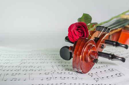 Closeup photo of violin and roses on note sheet with text spaceの写真素材
