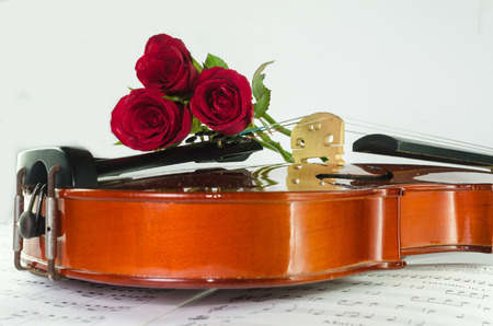 Closeup photo of violin and roses on note sheet with text spaceの写真素材