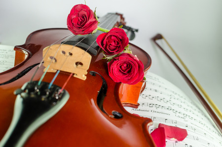 Closeup photo of violin and roses on note sheetの写真素材