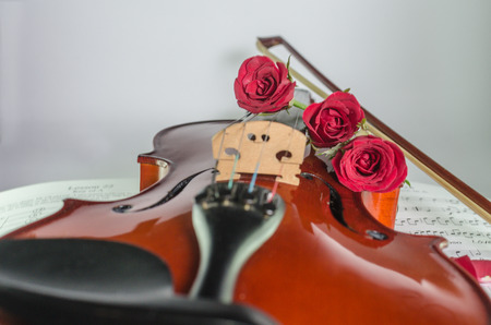 Closeup photo of violin and roses on note sheet with text spaceの写真素材