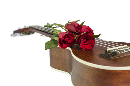 Red rose and ukulele isolated on whiteの写真素材