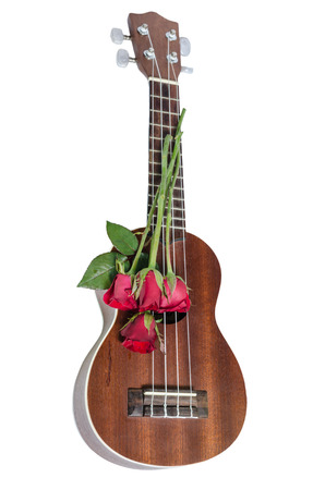 Red rose and ukulele isolated on whiteの写真素材