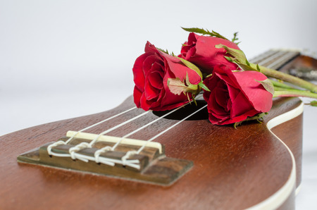Red rose and ukulele isolated on grayの写真素材