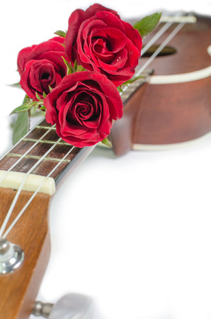 Red rose and ukulele isolated on whiteの写真素材
