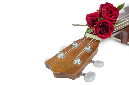 Red rose and ukulele isolated on whiteの写真素材