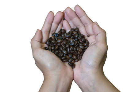 Cupped hands holding a handful of freshly roasted aromatic coffee beans isolated over whiteの写真素材