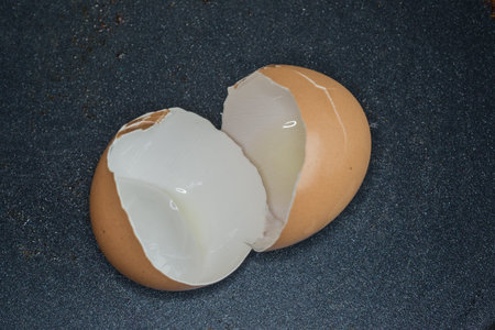 Empty cracked brown eggshell from an egg that has been cooked for breakfast on a blue background