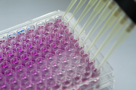 96 well plate for immunological laboratoryの写真素材