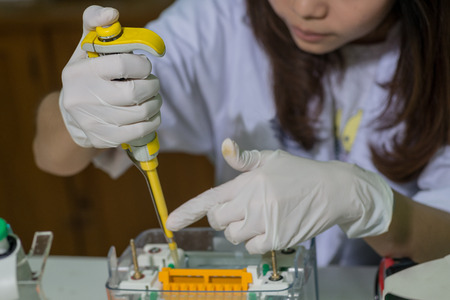 Unidentifiable female lab technician using a special syringe to collect samples from holderの写真素材